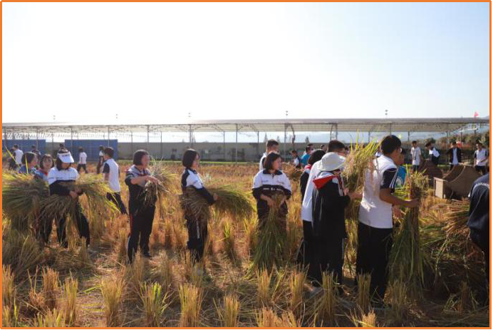 長沙研學旅行基地-梅田湖