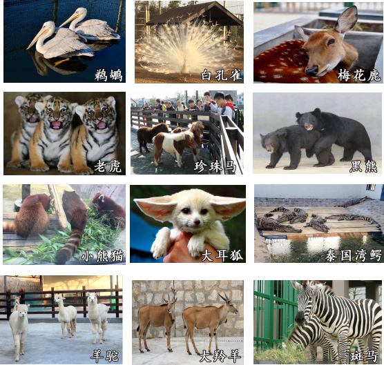 長沙研學旅行基地--雷鋒研學基地 長沙研學旅行基地--雷鋒研學基地