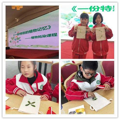 長沙研學(xué)旅行基地--盤龍大觀園 長沙研學(xué)旅行基地--盤龍大觀園