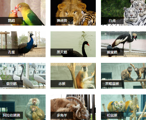 柏樂園研學旅行