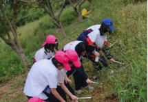 小學研學旅行活動方案設計