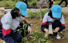 湖南韶山研學旅行
