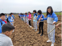 研學旅行活動方案設計