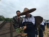 湖南韶山研學旅行