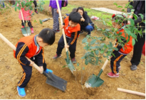 紅色研學旅行活動方案